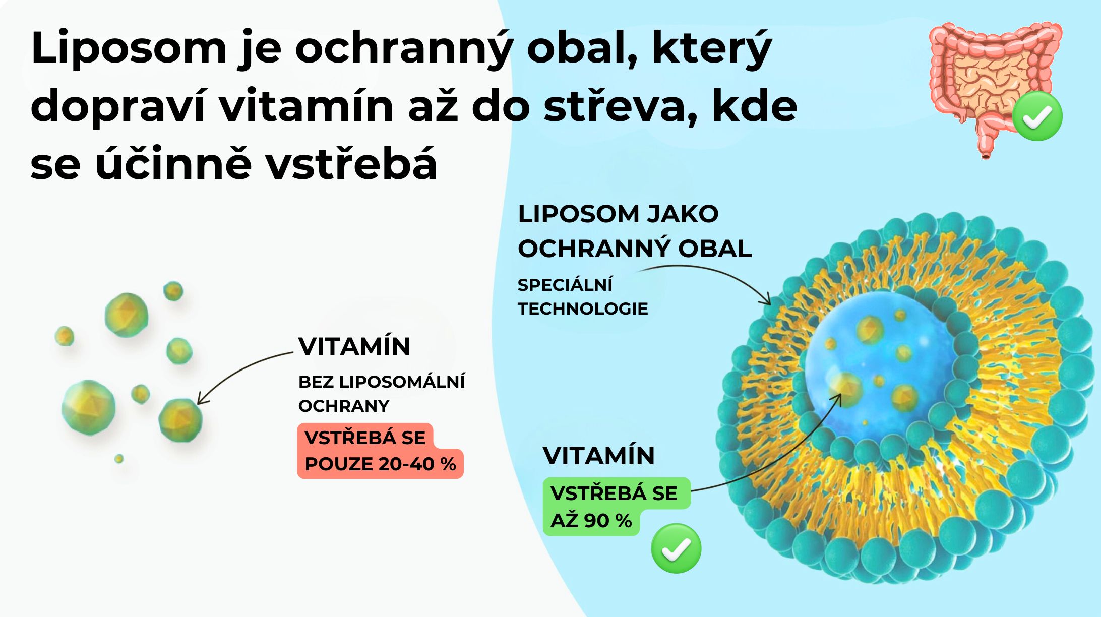 PREMIUM Liposomální Vitamín D3 + K2 MK-7, 2000 IU + 75 mcg, 90 kapslí -6